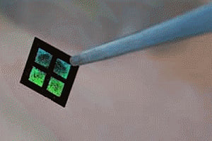 Bio-hybrid kidney powered by heart in the offing