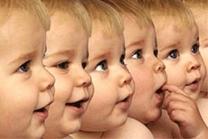 Surrounding culture affects infants' attention by age 2