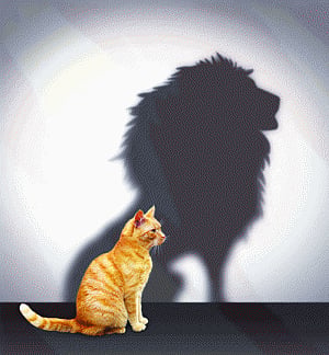 Courage, a must-have quality