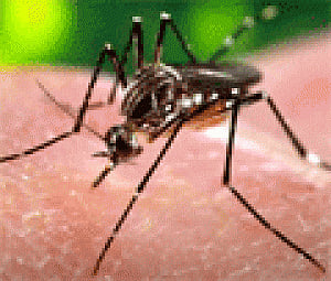 Cuba to deploy 9,000 troops to prevent Zika virus