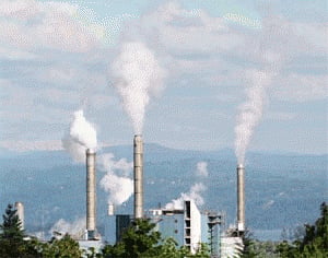 White Industries, a new category