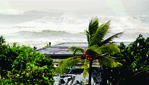 'Indian coasts a powerhouse of green wind energy'