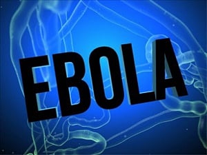 Scientists create antibody cocktail that cures Ebola-infected monkeys