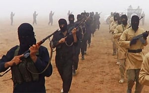 Situation dangerous as ISIS committing genocide: US