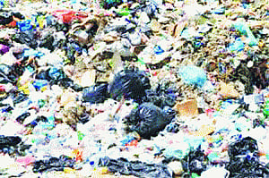 Political rallies can't leave trail of plastic waste