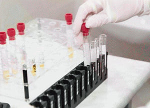 New technique allows viewing of cells and tissues under skin