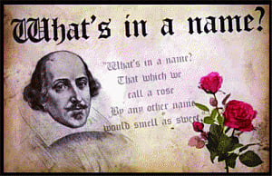 What's in a name?