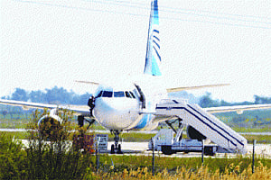 love not terror led to Egyptian plane hijack!
