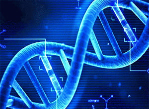 Study shows how oxygen can kill DNA