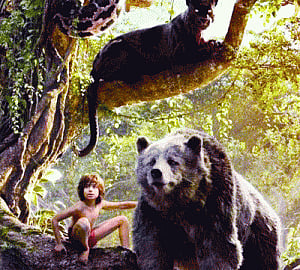 Head for this jungle please