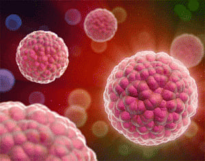 Stop 'bad cholesterol' production to prevent tumour growth