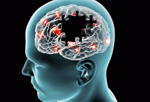 Six new proteins discovered to fight Alzheimer's, cancer