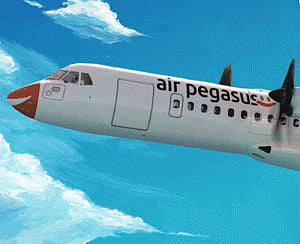 Air Pegasus investing Rs.100 crore to spread wings