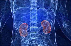 '220,000 patients need renal replacement therapy every year in India'