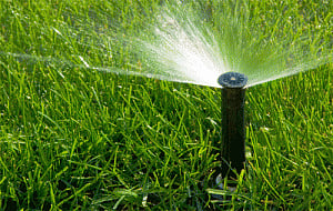 Telangana's share in irrigation investment doubles to 12 pc