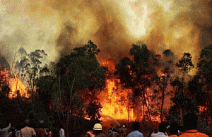 Fire situation under control in Uttarakhand: Rajnath