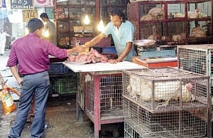 Court says possessing beef no crime, upholds slaughter ban