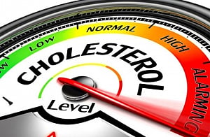 Cholesterol-lowering drug could stop spread of lyme disease