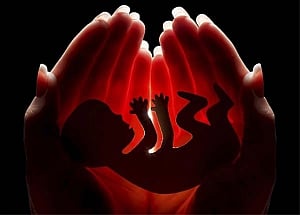 Abortion rates drop to historic low: Study