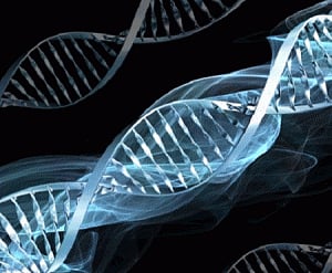 Genes linked to mood, stress can impact longevity