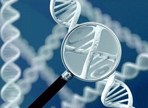 New prevention strategies for ovarian cancer identified