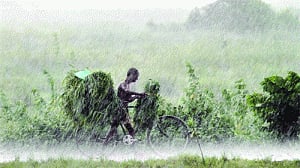 Monsoon will be above normal: IMD