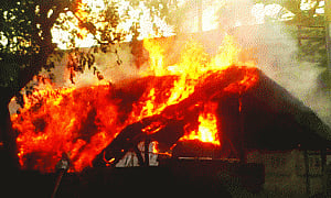 Mathura SP, SHO shot by encroachers