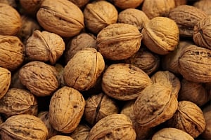 Walnuts may shield you from colon cancer