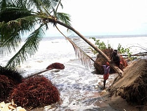 Monsoon hits Kerala, heavy rains claim one life
