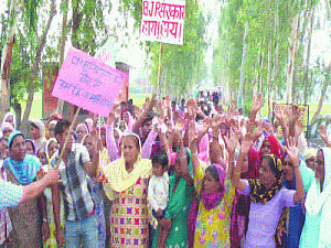 Flies threaten to oust 'Makkhipur' villagers