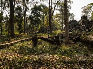 Spend time with nature to shun depression