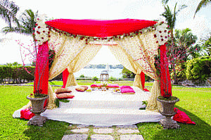 Ready to say 'I do'?