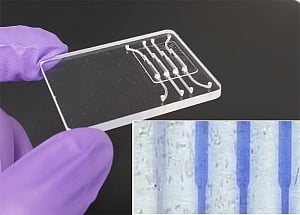 New $2 saliva test detects Zika in a jiffy