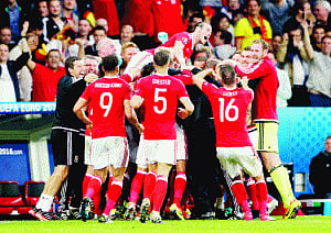 Belgium Whaled out