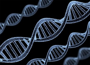 How genes guide our response to pathogens