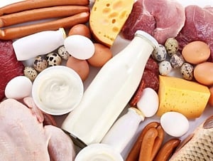 Saturated fat in diet linked with higher mortality