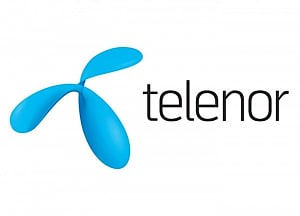 'Facebook at Work' a hit among Telenor employees