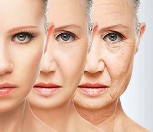 This embryonic gene may help fight ageing