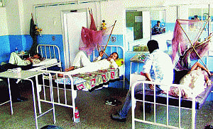 Chikungunya, not dengue, biggest threat this year: Doctors
