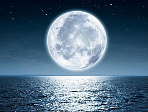 Indian American's company approved for moon landing