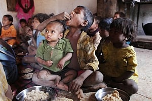 Reviving millets could solve India's malnutrition problem, benefit farmers