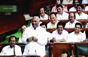 Take action against cow vigilantes: Cong