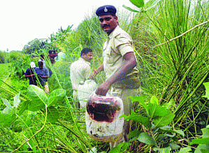 Nitish's booze ban leads to 13 deaths by hooch