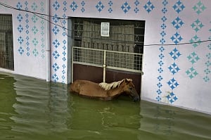 Ganga in spate: Bihar grim, UP filled to brim