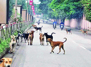 Kerala goes rabid with hate