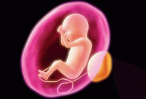Doctors say bill is 'black day' for surrogacy, will spawn corruption