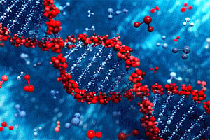 Why hereditary diseases are so hard to get rid of