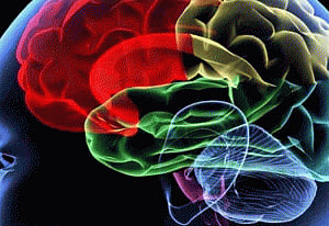 Brain-inspired memory device for flexible electronics