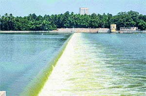 Cauvery keeps TN, Karnataka boiling