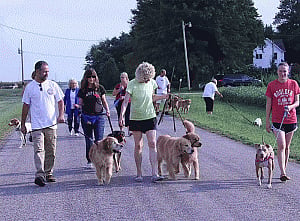 Walks may determine one's aggression